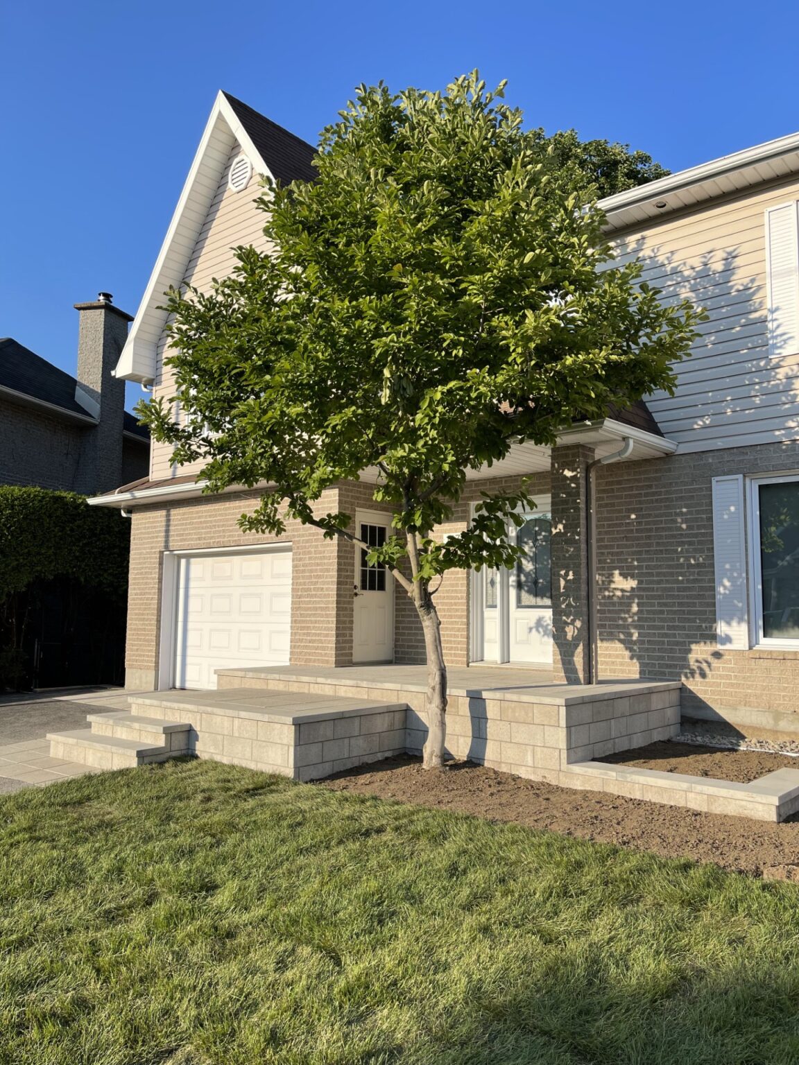Maison avec arbre et pelouse verte.