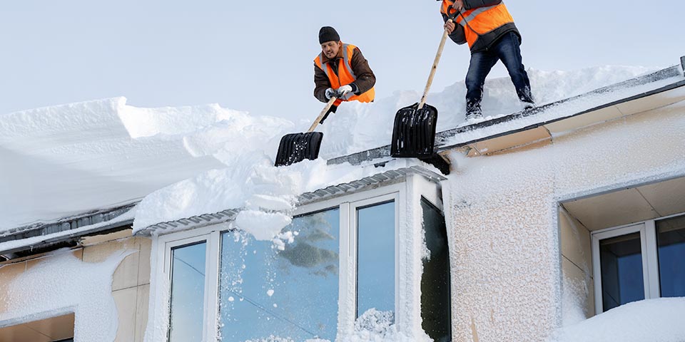 Beaux Parterres Laurentiens